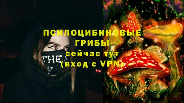 спиды Алексеевка