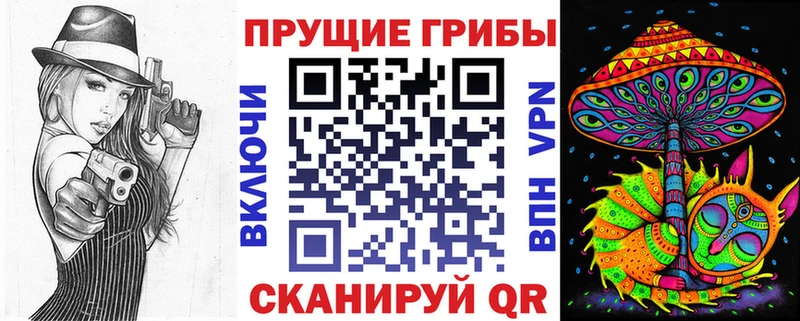 KRAKEN как зайти Катав-Ивановск Псилоцибиновые грибы MAGIC MUSHROOMS